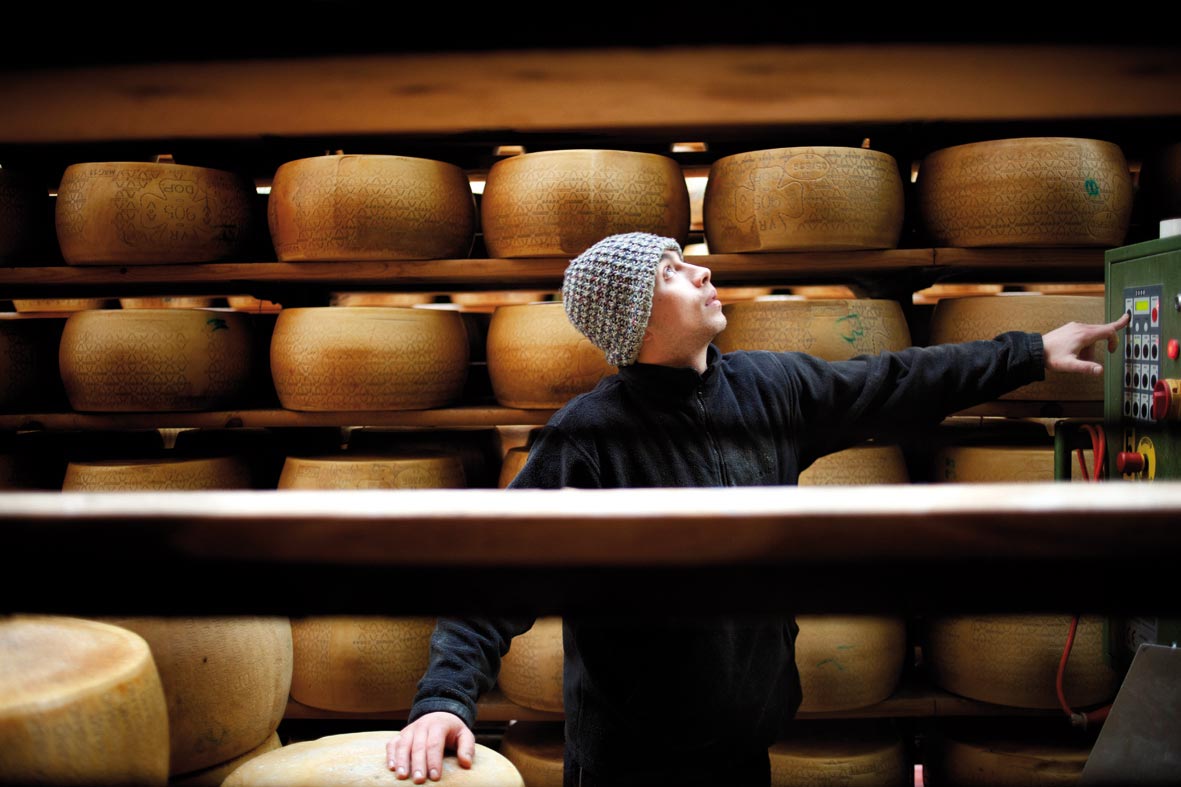 Produzione-Grana-e-Parmigiano