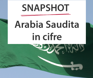 Arabia Saudita in cifre