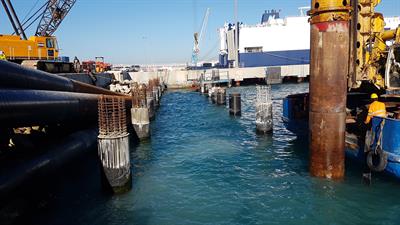 20171121_094454 20171121_094454