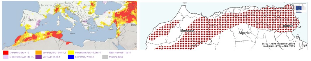 SACE Sasso nello stagno Nord africa siccità