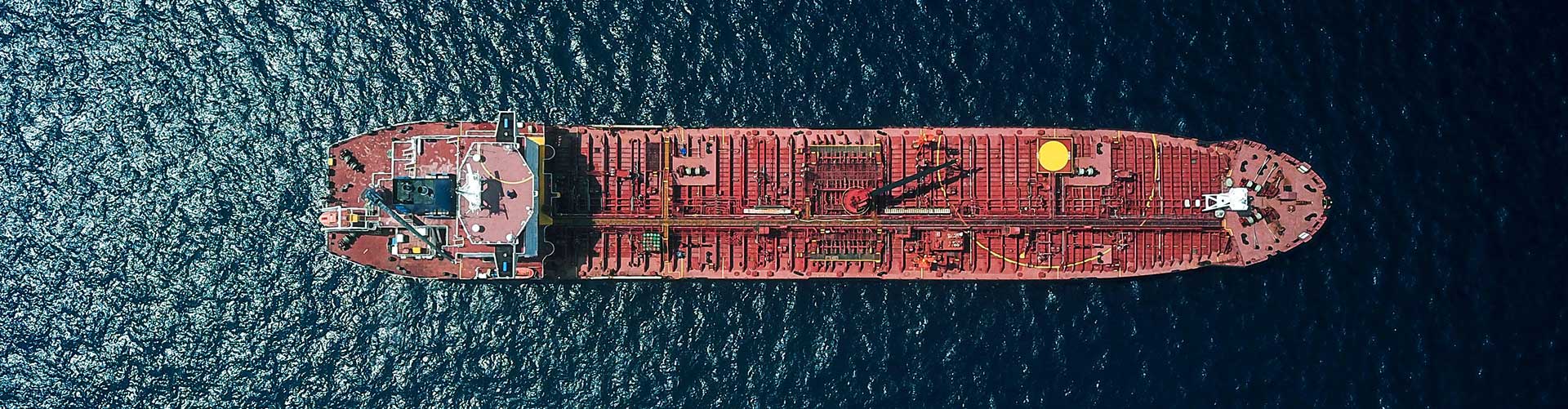 sacesimest-nuovi clienti-export-education