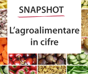 Tutti i numeri dell'agroalimentare