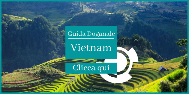 Guida Doganale vietnam education