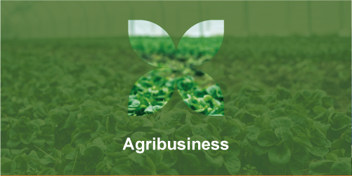 Landing page_Agribusiness