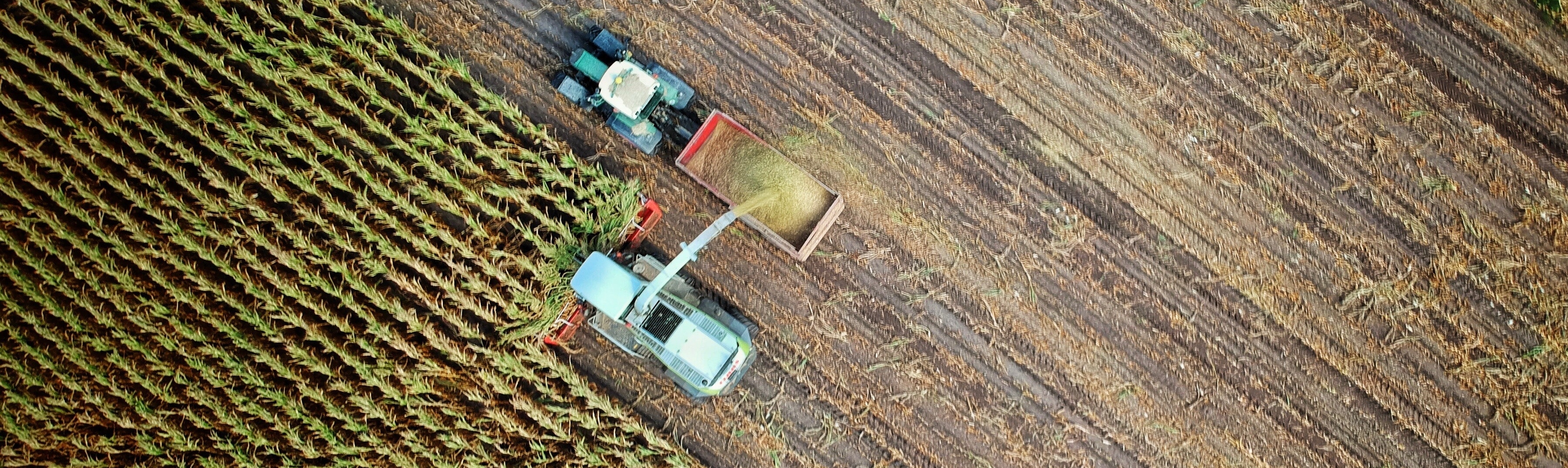 sacesimest_education_agroalimentare_settore_export (1)