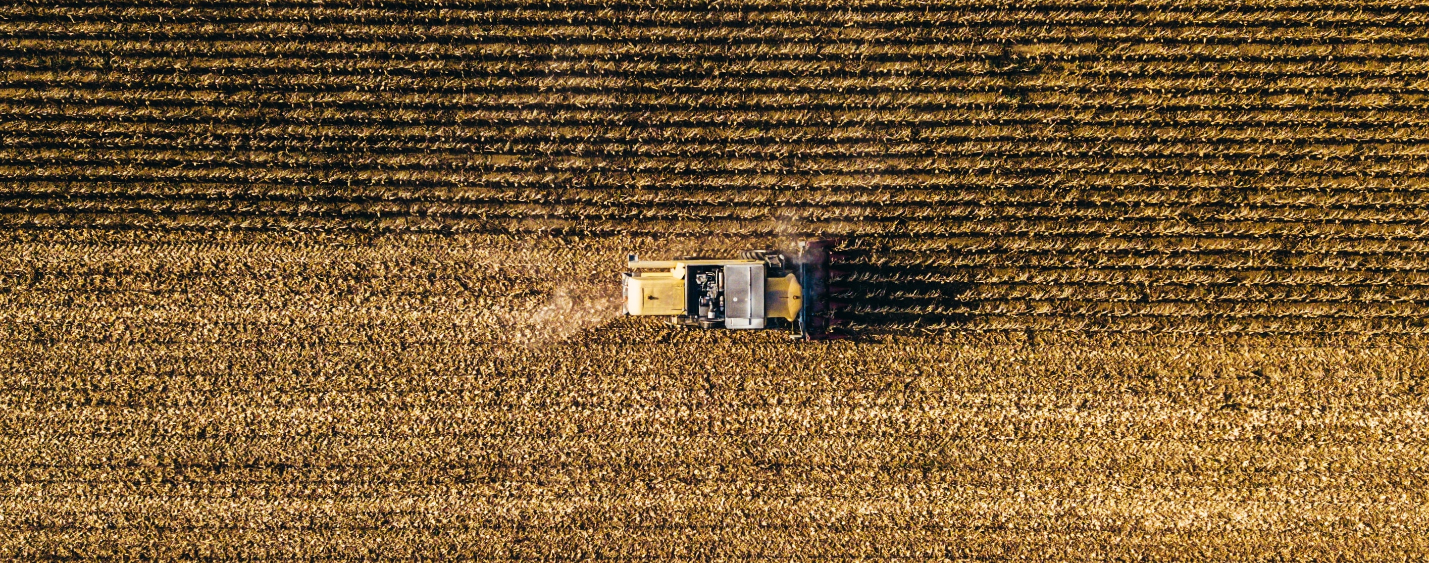 sacesimest_education_settore_agroalimentare_crescita